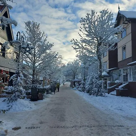 아파트 Hahnenklee Waldblick Cari 고슬라르