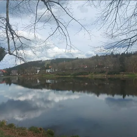 Hahnenklee Waldblick Cari