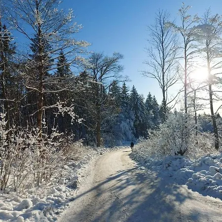 Hahnenklee Waldblick Cari *